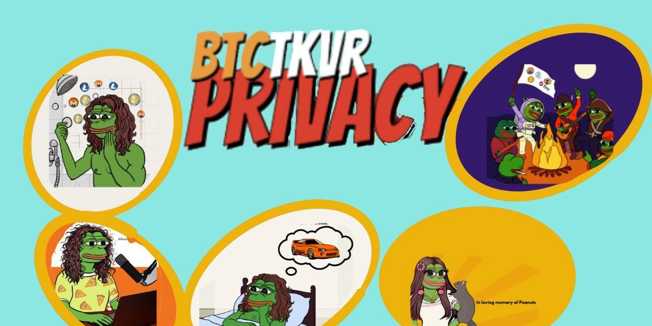 BTCTKVR: Журнал Privacy снова делает крипто-шифропанк