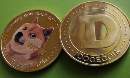 DOGE Nears 50 Cents as Meme Coins Dominate