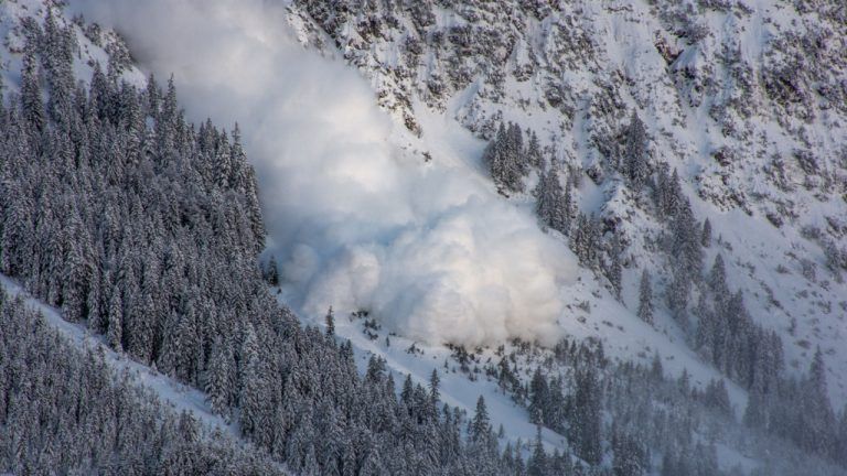 Avalanche cierra una venta de tokens de $250 millones antes de la próxima actualización Avalanche9000