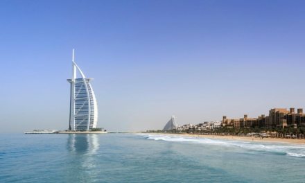 Dubai’s SEE Institute and Cardano Foundation Collaborate to Advance Blockchain-Powered Sustainability